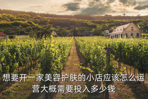 想要開一家美容護膚的小店應該怎么運營大概需要投入多少錢