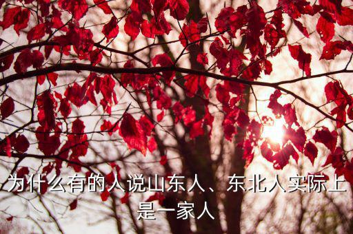 山東火車滿人多少人,東北人實際上是一家人