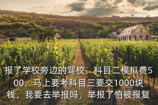報了學校旁邊的駕校，科目二模擬費500，馬上要考科目三要交1000塊錢，我要去舉報嗎，舉報了怕被報復