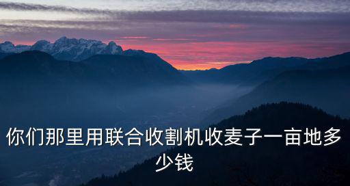 濰坊收小麥多少錢,小麥價格會大跌嗎