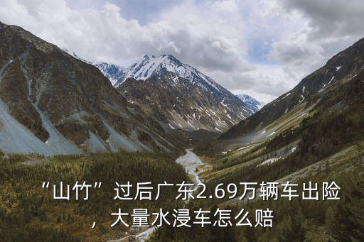 山竹過后廣州泡了多少車,臺(tái)風(fēng)山竹過后