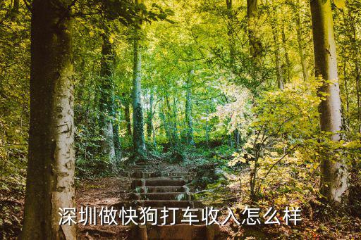 快狗打車深圳分公司在哪里,在深圳做快狗打車收入怎么樣