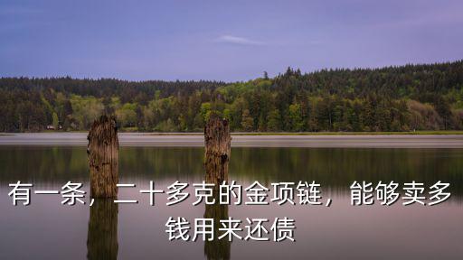 有一條，二十多克的金項鏈，能夠賣多錢用來還債