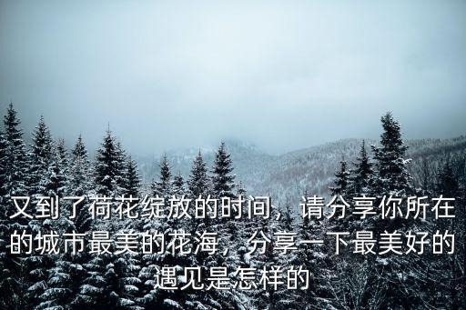 又到了荷花綻放的時(shí)間，請分享你所在的城市最美的花海，分享一下最美好的遇見是怎樣的