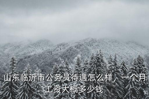 山東臨沂市公務員待遇怎么樣，一個月工資大概多少錢