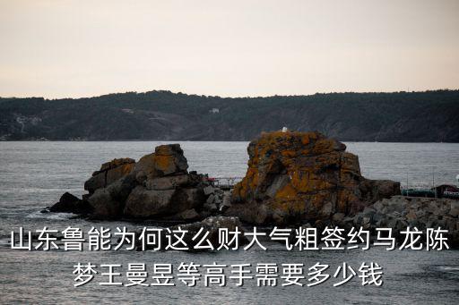 山東魯能大魚有多少錢,山東魯能為何這么財(cái)大氣粗