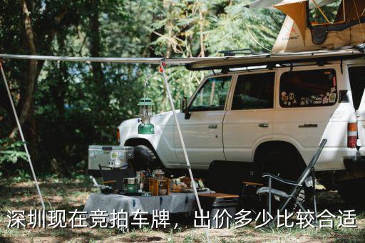 深圳第六期競價(jià)多少錢,深圳車牌過戶值多少錢