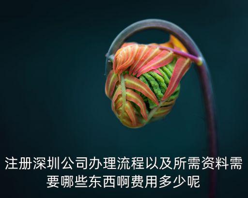 如何注冊深圳公司多少錢,在深圳如何注冊成立一家公司