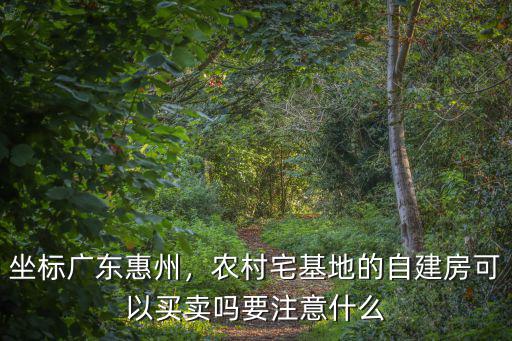 坐標(biāo)廣東惠州，農(nóng)村宅基地的自建房可以買賣嗎要注意什么