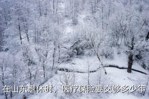 山東省退休醫保需要繳多少年,在山東退休時