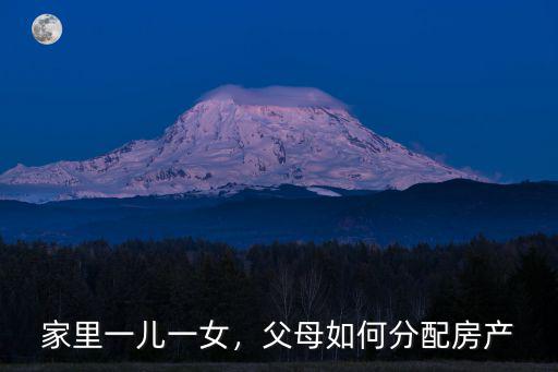 家里一兒一女，父母如何分配房產