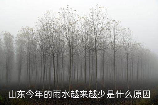 山東今年的雨水是多少,山東今年雨量大嗎