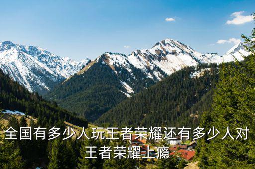全山東省有多少玩王者榮耀的,全國有多少人玩王者榮耀