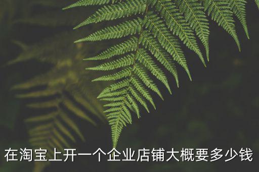 在淘寶上開一個企業店鋪大概要多少錢