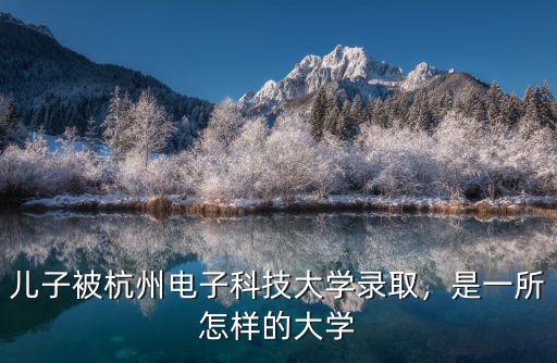 兒子被杭州電子科技大學錄取，是一所怎樣的大學