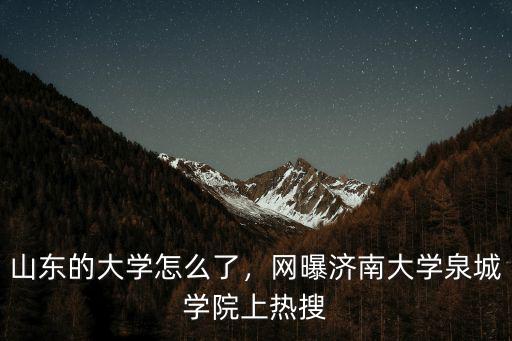 濟南大學泉城學院多少學生,網曝濟南大學泉城學院上熱搜