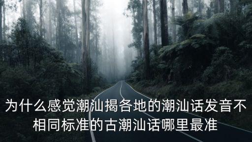 為什么感覺潮汕揭各地的潮汕話發(fā)音不相同標準的古潮汕話哪里最準
