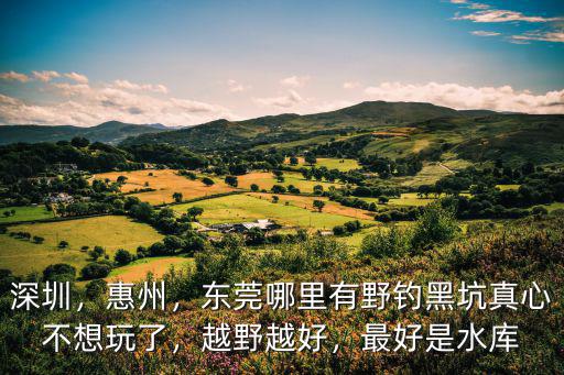 深圳，惠州，東莞哪里有野釣黑坑真心不想玩了，越野越好，最好是水庫