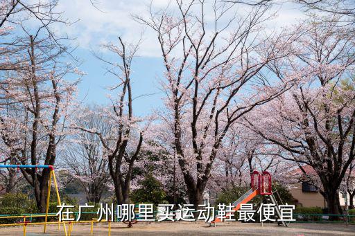 廣州哪里買耐克,在商場的耐克實體店買了雙鞋