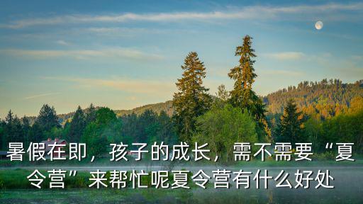 暑假在即，孩子的成長，需不需要“夏令營”來幫忙呢夏令營有什么好處
