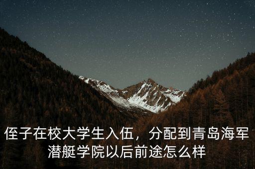 侄子在校大學生入伍，分配到青島海軍潛艇學院以后前途怎么樣