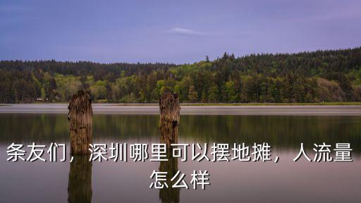 深圳擺攤怎么樣,在深圳擺攤賣廣西酸野怎么樣
