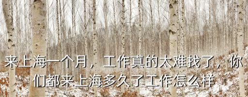 廣州怎么找上海工作,工作真的太難找了