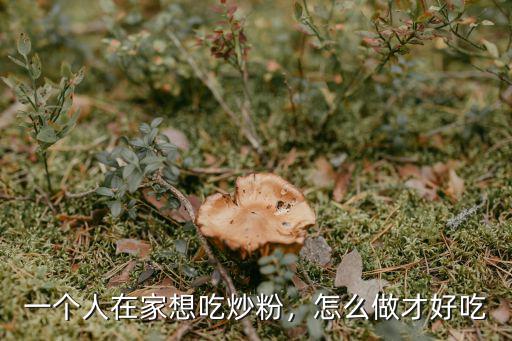 一個人在家想吃炒粉，怎么做才好吃