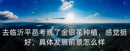 去臨沂平邑考察了金銀花種植，感覺挺好，具體發展前景怎么樣