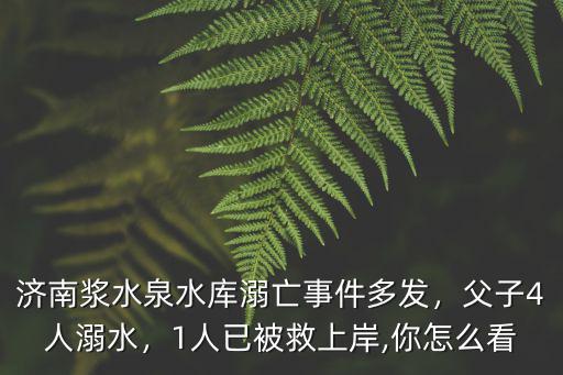 濟南漿水泉水庫溺亡事件多發，父子4人溺水，1人已被救上岸,你怎么看