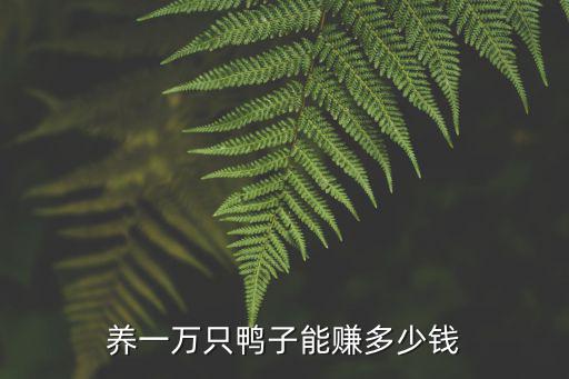 濟南男鴨子工作多少錢一個月多少錢,一個男人月賺多少