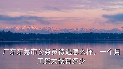廣東公務(wù)員的工資待遇怎么樣,廣東東莞市公務(wù)員待遇怎么樣