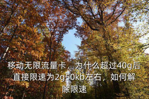 杭州移動多少流量限速,如何解除限速