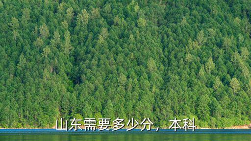山東需要多少分，本科