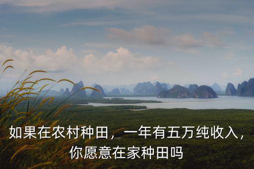 麗水種田收入多少,那一畝地收入是多少呢