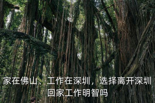深圳佛山打工怎么樣,佛山這幾年的就業前景怎么樣