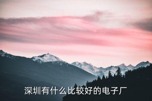 深圳有什么比較好的電子廠
