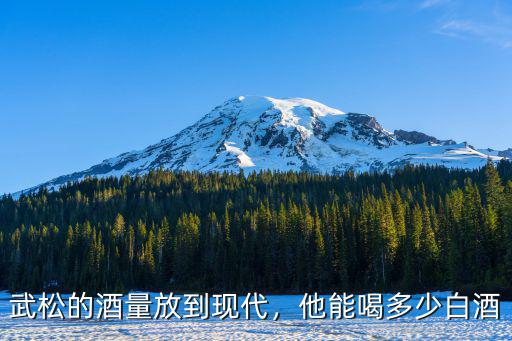山東武松酒量多少,武松的酒量放到現代