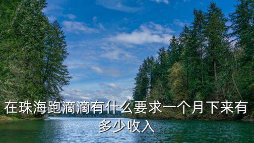 珠海跑滴滴一個月多少錢一個月多少錢一個月,一個月下來有多少收入