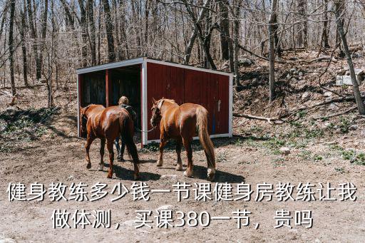 河源市健身房私教多少錢,健身教練多少錢一節課