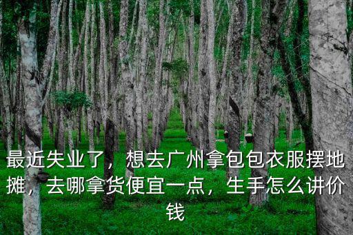 最近失業了，想去廣州拿包包衣服擺地攤，去哪拿貨便宜一點，生手怎么講價錢