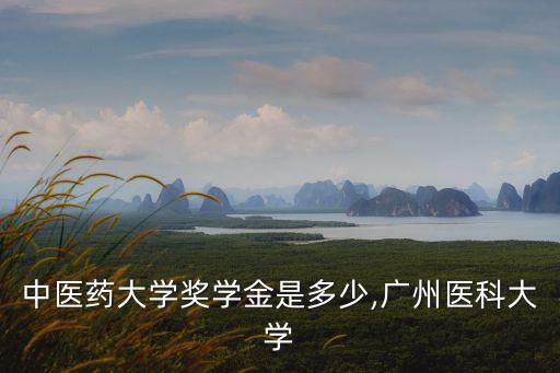 廣州中醫藥大學獎學金是多少,廣州醫科大學