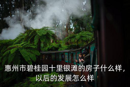 沈陽碧桂園惠州項目怎么樣,沈陽碧桂園房子咋樣