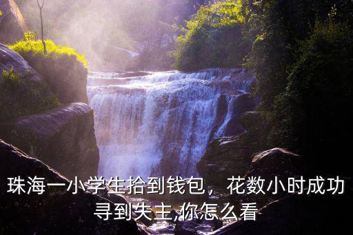 珠海一小學(xué)生拾到錢包，花數(shù)小時成功尋到失主,你怎么看