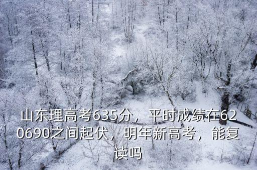 山東新高考化學(xué)模擬多少分,模擬考原始分619