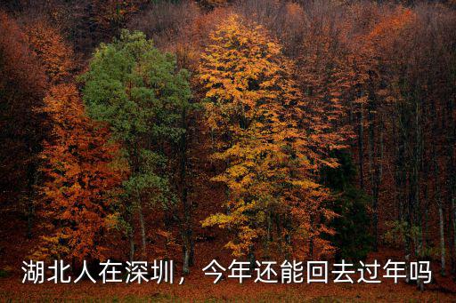 湖北人在深圳，今年還能回去過年嗎