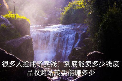 很多人撿瓶子賣錢，到底能賣多少錢廢品收購站轉(zhuǎn)手能賺多少