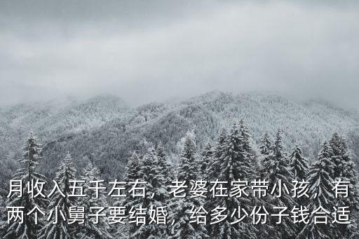 濟(jì)南小舅子結(jié)婚隨禮多少錢(qián),有兩個(gè)小舅子要結(jié)婚