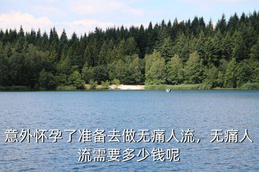 意外懷孕了準備去做無痛人流，無痛人流需要多少錢呢