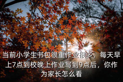 當前小學生書包很重作業很多，每天早上7點到校晚上作業寫到9點后，你作為家長怎么看